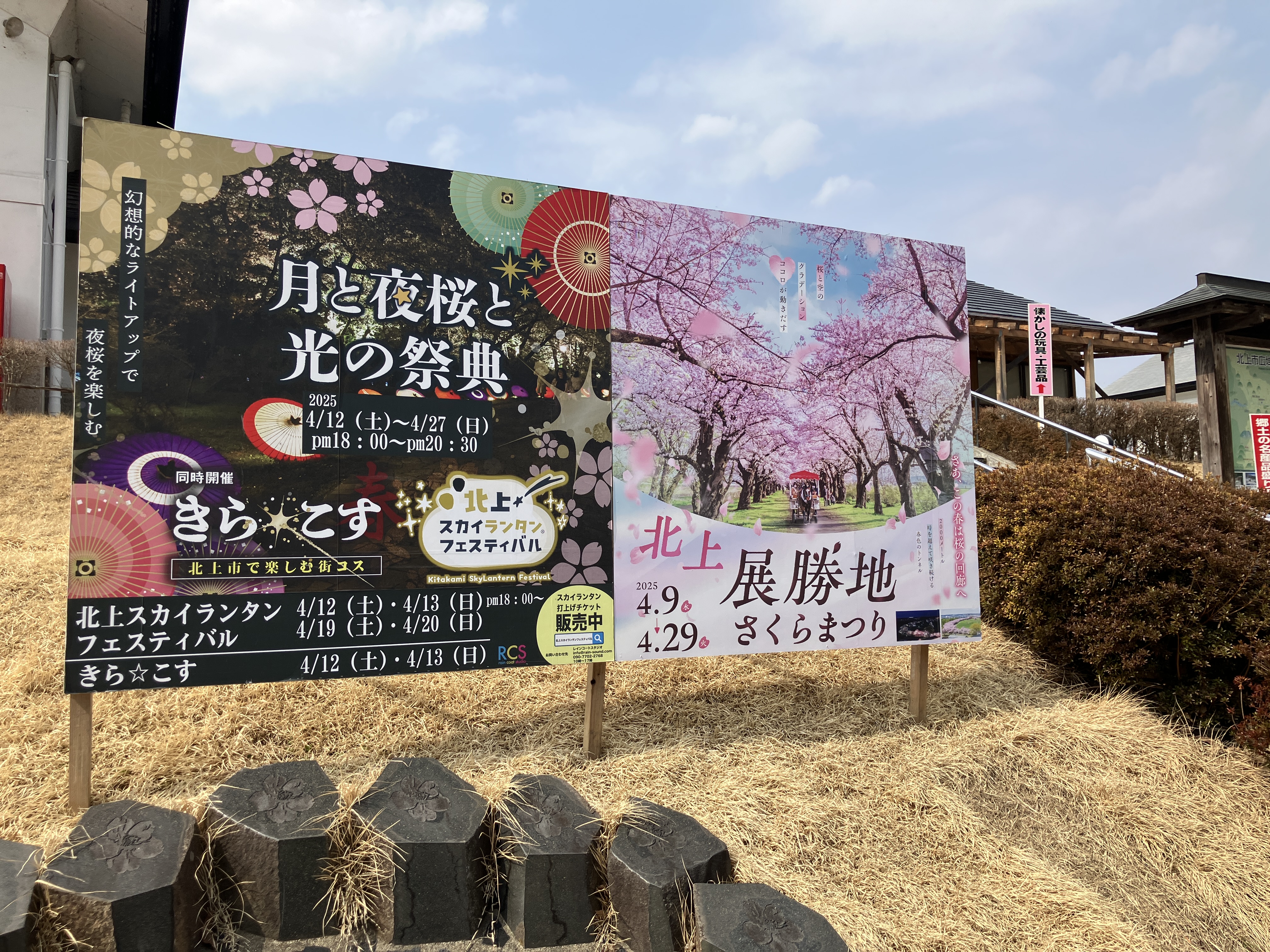 展勝地桜まつりの下見(*´ω‵*)のサムネイル